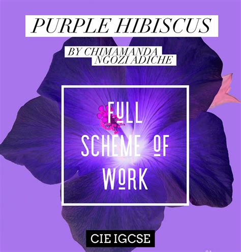 3 January 2014. . Purple hibiscus igcse